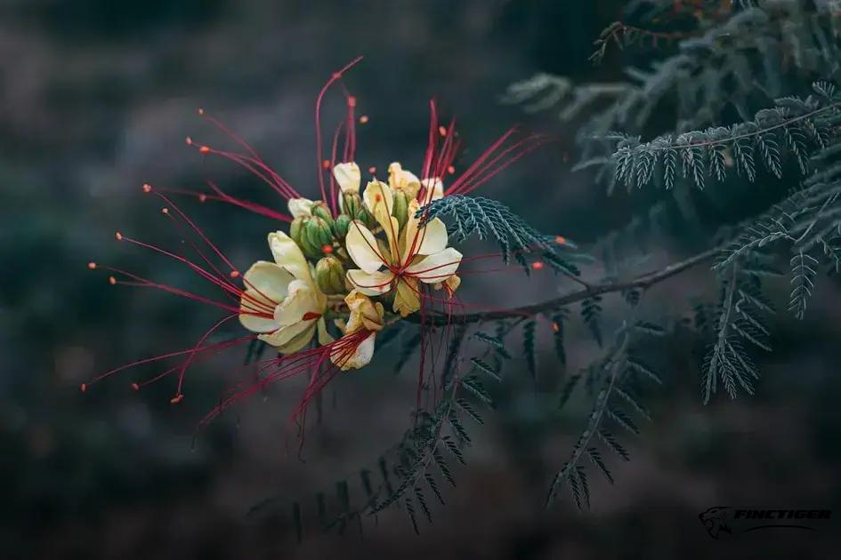 Creating a Budget That Works