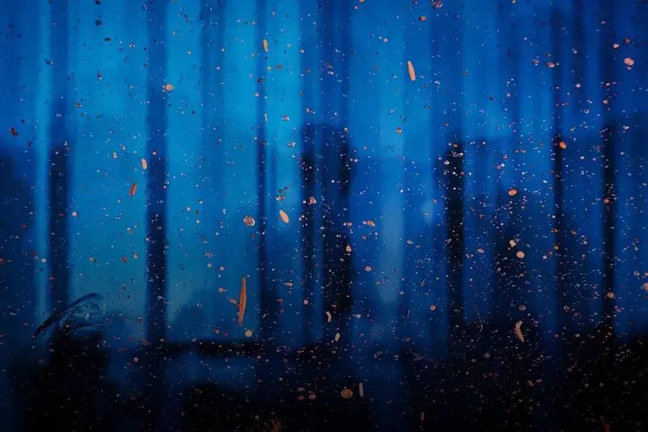 Creating a Business Plan to Monetize Your Passion